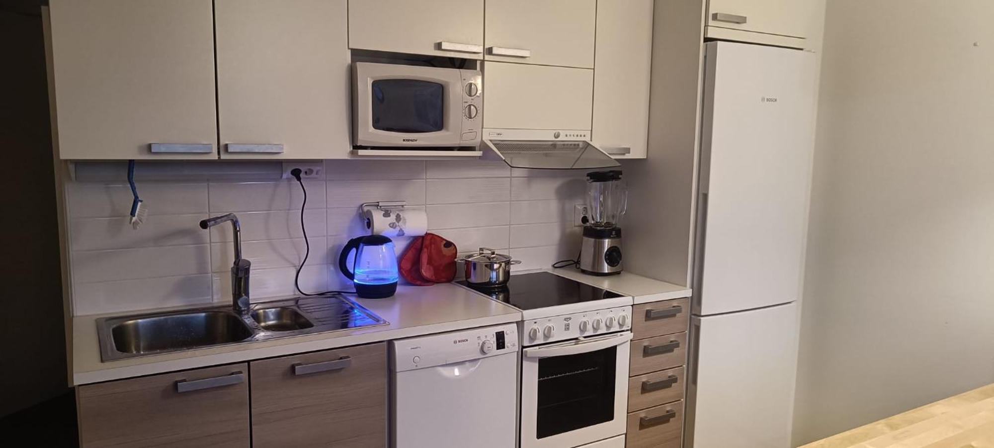 Kaarnikkarakka Apartment ロヴァニエミ エクステリア 写真